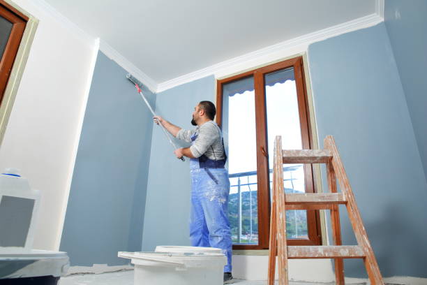 Best Repainting for Renovations  in Newcastle, WY