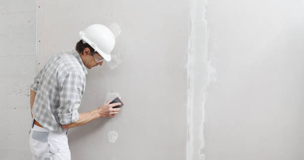 Best Fire-Damaged Drywall Repair  in Newcastle, WY