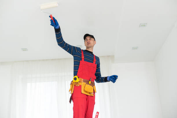 Trusted Newcastle, WY Dry wall and painting Experts